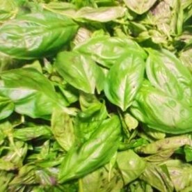 バジルとガーリックパウダー ソース レシピ 作り方 By ブルーボリジ 楽天レシピ バジルとガーリックパウダー ソース レシピ 作り方 By ブルーボリジ 楽天レシピ